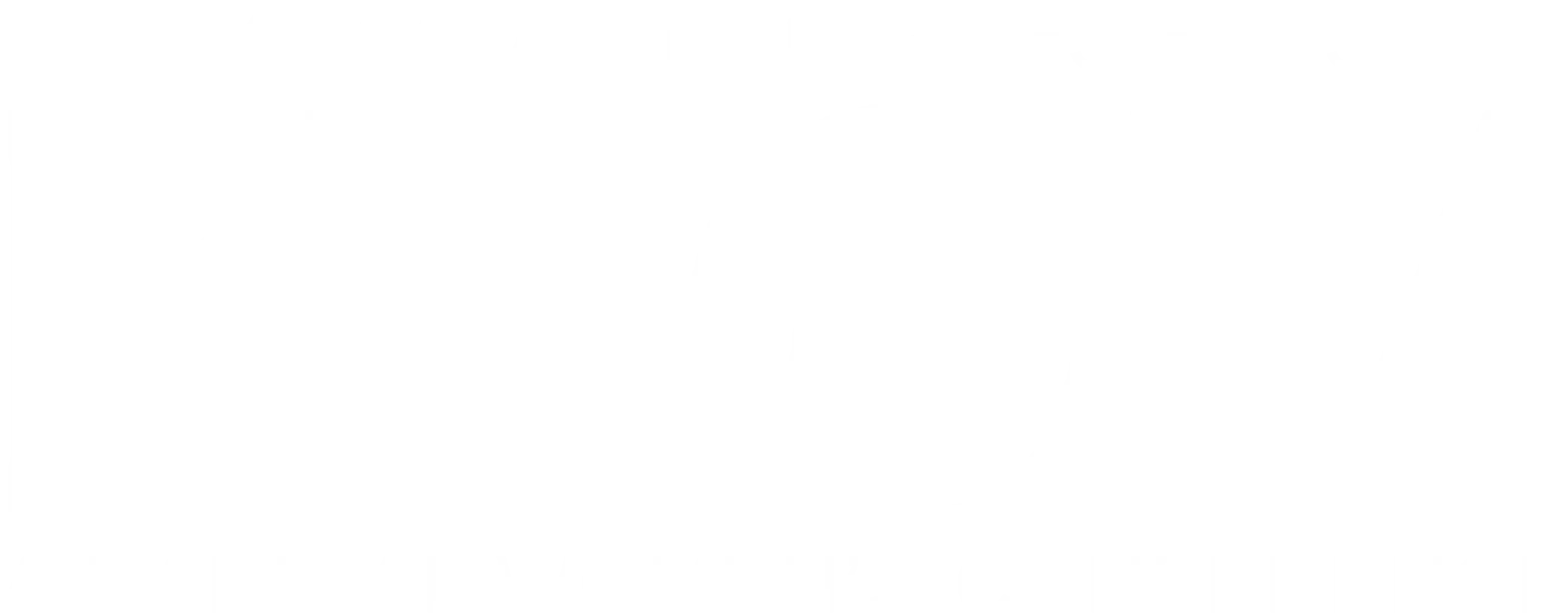 Taffi Dollar